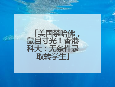 美国禁哈佛，鼠目寸光！香港科大：无条件录取转学生
