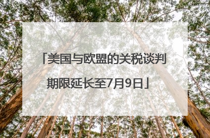 美国与欧盟的关税谈判期限延长至7月9日