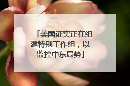 美国证实正在组建特别工作组，以监控中东局势