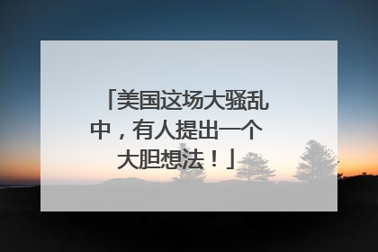 美国这场大骚乱中，有人提出一个大胆想法！