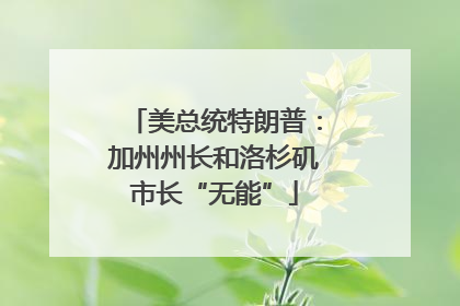 美总统特朗普：加州州长和洛杉矶市长“无能”