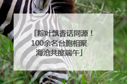 粽叶飘香话同源！100余名台胞相聚海沧共度端午