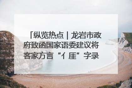 纵览热点｜龙岩市政府致函国家语委建议将客家方言“亻厓”字录入《新华字典》引发热议，当地回应