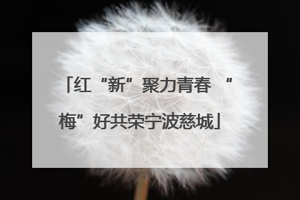 红“新”聚力青春 “梅”好共荣宁波慈城