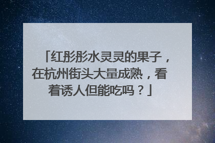 红彤彤水灵灵的果子，在杭州街头大量成熟，看着诱人但能吃吗？
