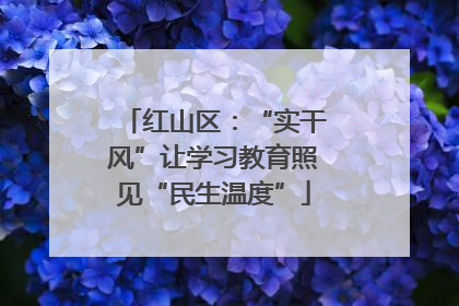 红山区：“实干风”让学习教育照见“民生温度”