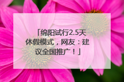 绵阳试行2.5天休假模式，网友：建议全国推广！