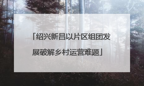 绍兴新昌以片区组团发展破解乡村运营难题