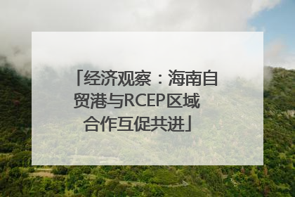 经济观察：海南自贸港与RCEP区域合作互促共进