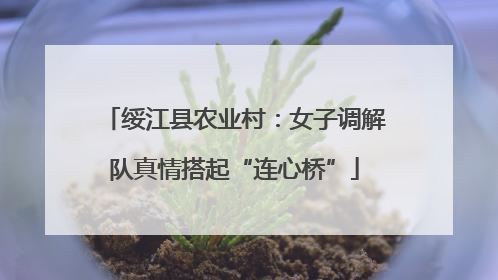 绥江县农业村：女子调解队真情搭起“连心桥”