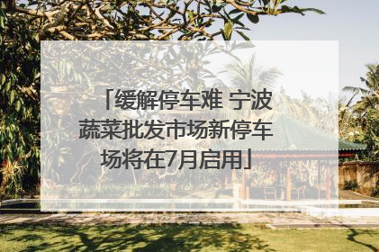 缓解停车难 宁波蔬菜批发市场新停车场将在7月启用