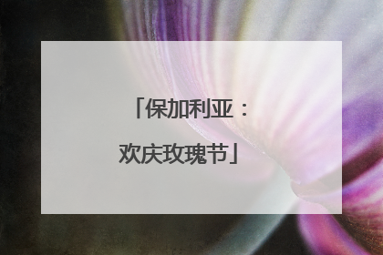 保加利亚：欢庆玫瑰节
