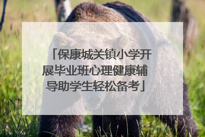 保康城关镇小学开展毕业班心理健康辅导助学生轻松备考