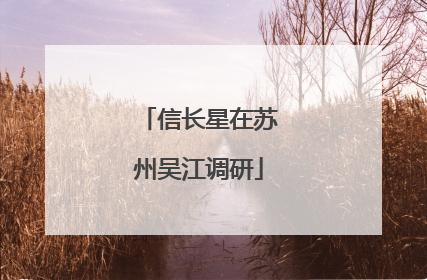 信长星在苏州吴江调研