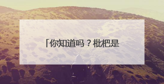 你知道吗？枇杷是镇江特色水果之一！镇江枇杷喜获长三角精品枇杷推选金奖