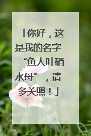 你好，这是我的名字“鱼人叶硝水母”，请多关照！