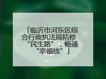 临沂市河东区综合行政执法局精修“民生路”，畅通“幸福线”