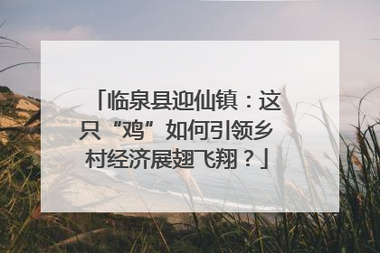 临泉县迎仙镇：这只“鸡”如何引领乡村经济展翅飞翔？