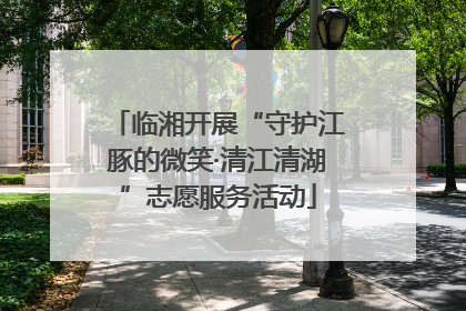 临湘开展“守护江豚的微笑·清江清湖”志愿服务活动