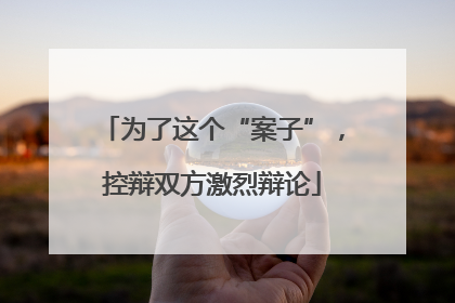 为了这个“案子”，控辩双方激烈辩论
