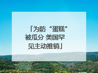 为防“蛋糕”被瓜分 美国罕见主动推销
