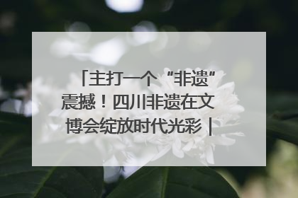主打一个“非遗”震撼！四川非遗在文博会绽放时代光彩｜文博向“新”