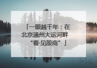 一眼越千年：在北京通州大运河畔“看·见殷商”
