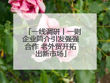 一线调研丨一则企业简介引发强强合作 老外贸开拓出新市场