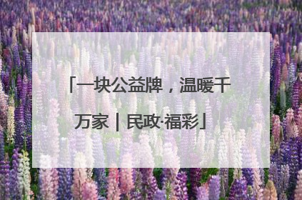 一块公益牌，温暖千万家｜民政·福彩