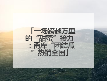 一场跨越万里的“甜蜜”接力：甬库“团结瓜”热销全国