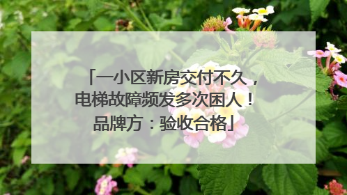 一小区新房交付不久，电梯故障频发多次困人！品牌方：验收合格
