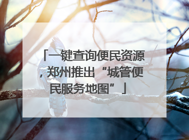 一键查询便民资源，郑州推出“城管便民服务地图”