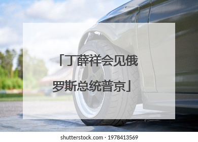 丁薛祥会见俄罗斯总统普京