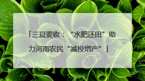 三夏麦收：“水肥还田”助力河南农民“减投增产”