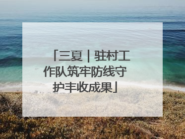三夏｜驻村工作队筑牢防线守护丰收成果