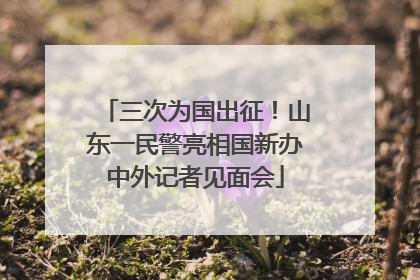 三次为国出征！山东一民警亮相国新办中外记者见面会
