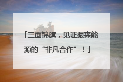 三面锦旗，见证振森能源的“非凡合作”！