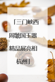 三门峡西周虢国玉器精品展亮相杭州