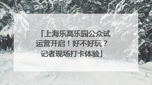 上海乐高乐园公众试运营开启！好不好玩？记者现场打卡体验