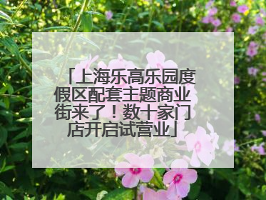 上海乐高乐园度假区配套主题商业街来了！数十家门店开启试营业