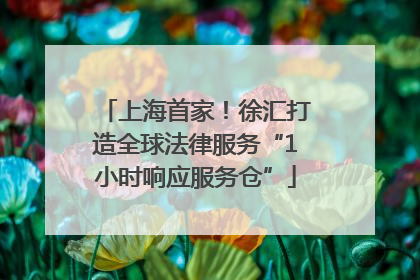 上海首家！徐汇打造全球法律服务“1小时响应服务仓”
