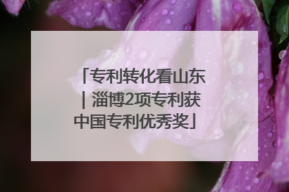 专利转化看山东｜淄博2项专利获中国专利优秀奖