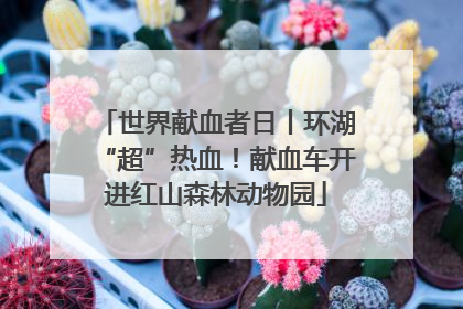 世界献血者日丨环湖“超”热血！献血车开进红山森林动物园