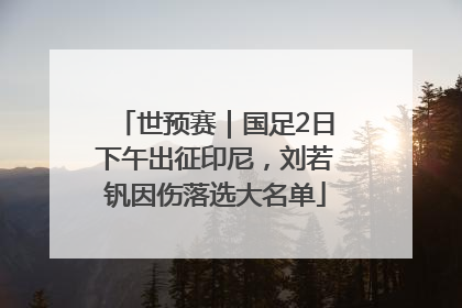 世预赛｜国足2日下午出征印尼，刘若钒因伤落选大名单