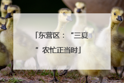 东营区：“三夏”农忙正当时