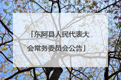 东阿县人民代表大会常务委员会公告