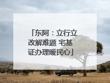 东阿：立行立改解难题 宅基证办理暖民心