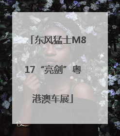 东风猛士M817“亮剑”粤港澳车展