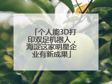 个人能3D打印双足机器人，海淀这家明星企业有新成果