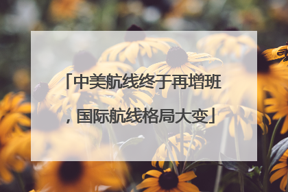 中美航线终于再增班,国际航线格局大变